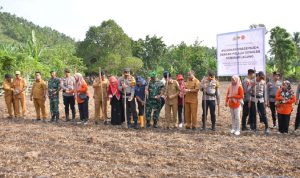 Asisten Sekda Bidang Perekonomian dan Pembangunan, Taher Husain, Dandim 1505 Tidore dan Kapolresta Tidore bersama para Pimpinan OPD melakukan Penanaman Bibit Jagung dalam rangka Mewujudkan Swasembada Pangan.