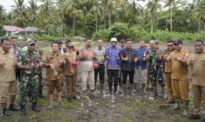 Pemkt Tidore melalui Dinas Pertanian bersama Balai Penyuluhan Pertanian (BPP) melakukan penanaman padi di Desa Oba, Kecamatan Oba Utara, Senin (2/6/2025).
